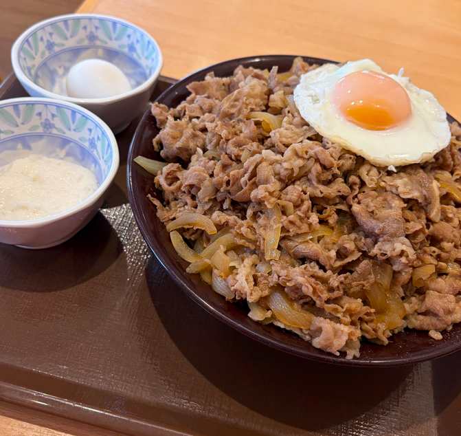 メガ牛丼とどっちがお得？明確な比較