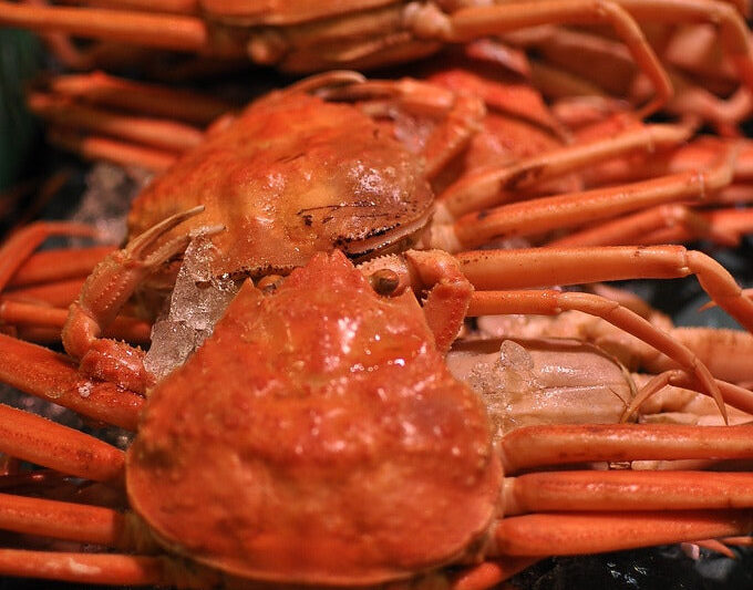 北海道の美味しくて安い蟹の購入の仕方教えます