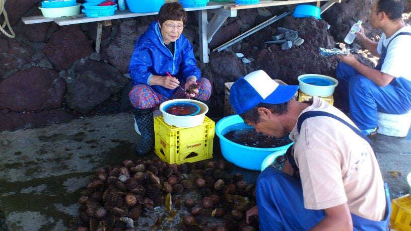 礼文島 観光名所 うにむき体験センター
